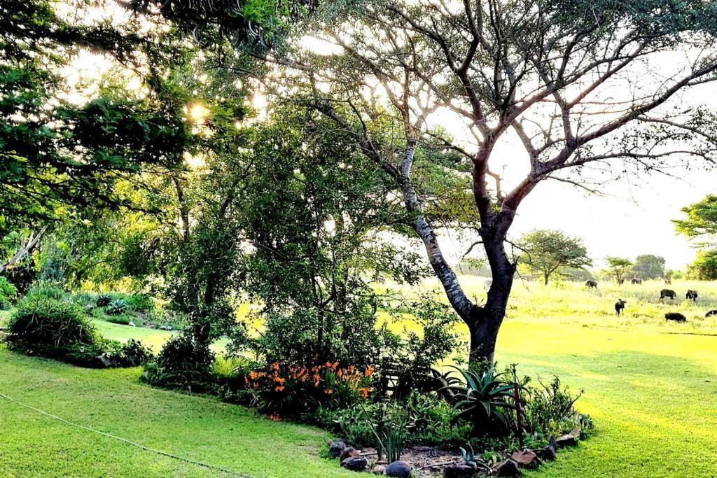 Tchagra House Villa Hluhluwe Luaran gambar